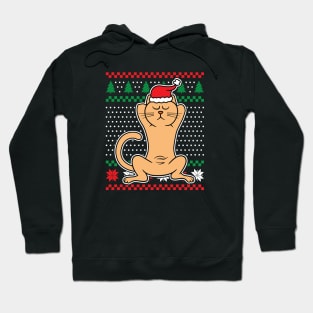 Ugly Christmas Sweaters Sleeping Cat Hoodie